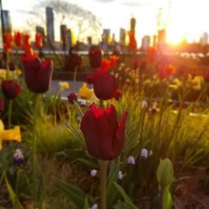 Meet your Posher, Ghada